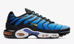 Nike Air max Plus OG