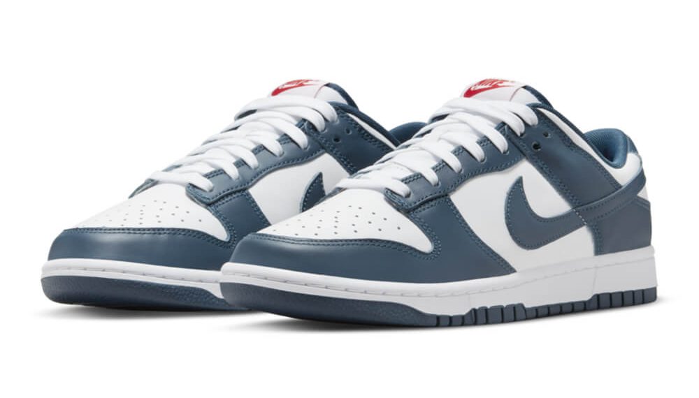 nike-dunk-low-valerian-blue-DD1391-400